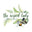 The Isopod Lady logo