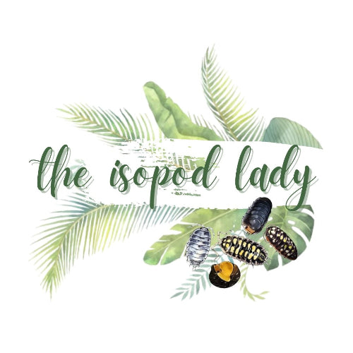 The Isopod Lady 
